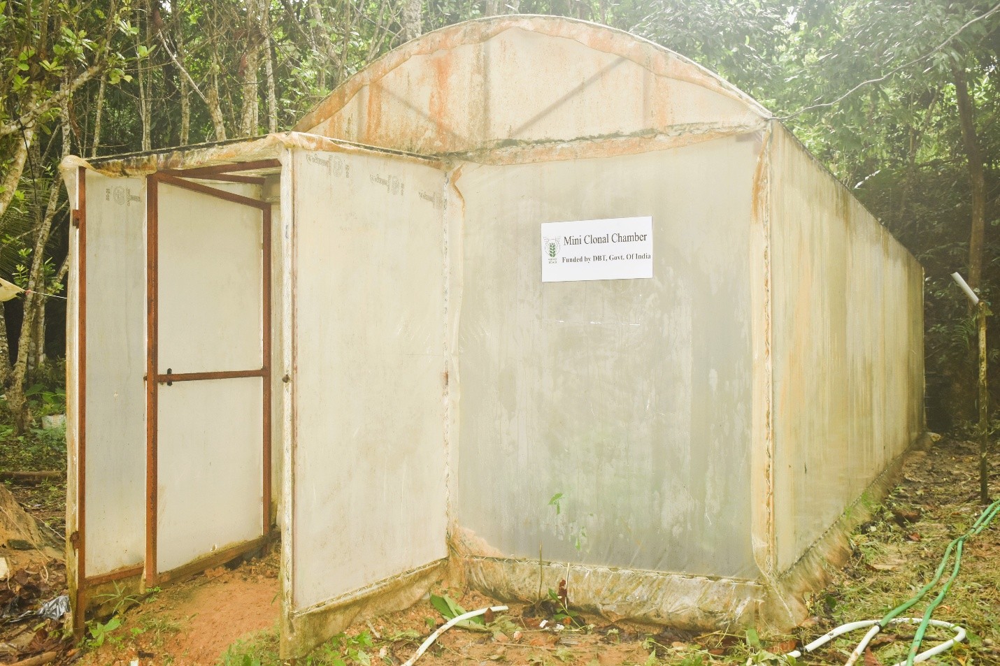 Mini Clonal Chamber