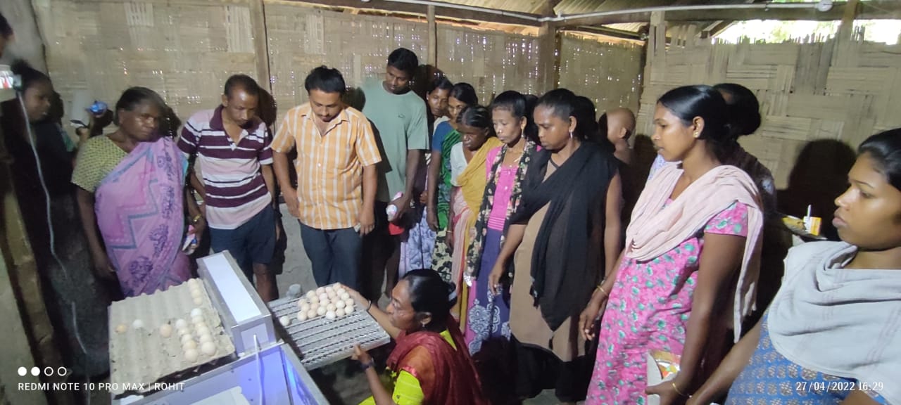Establishment of Mini Incubator at Baratang by CIARI